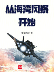  从海湾风暴开始