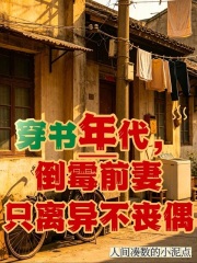 穿书年代，倒霉前妻只离异不丧偶